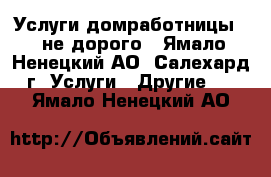 Услуги домработницы))) не дорого - Ямало-Ненецкий АО, Салехард г. Услуги » Другие   . Ямало-Ненецкий АО